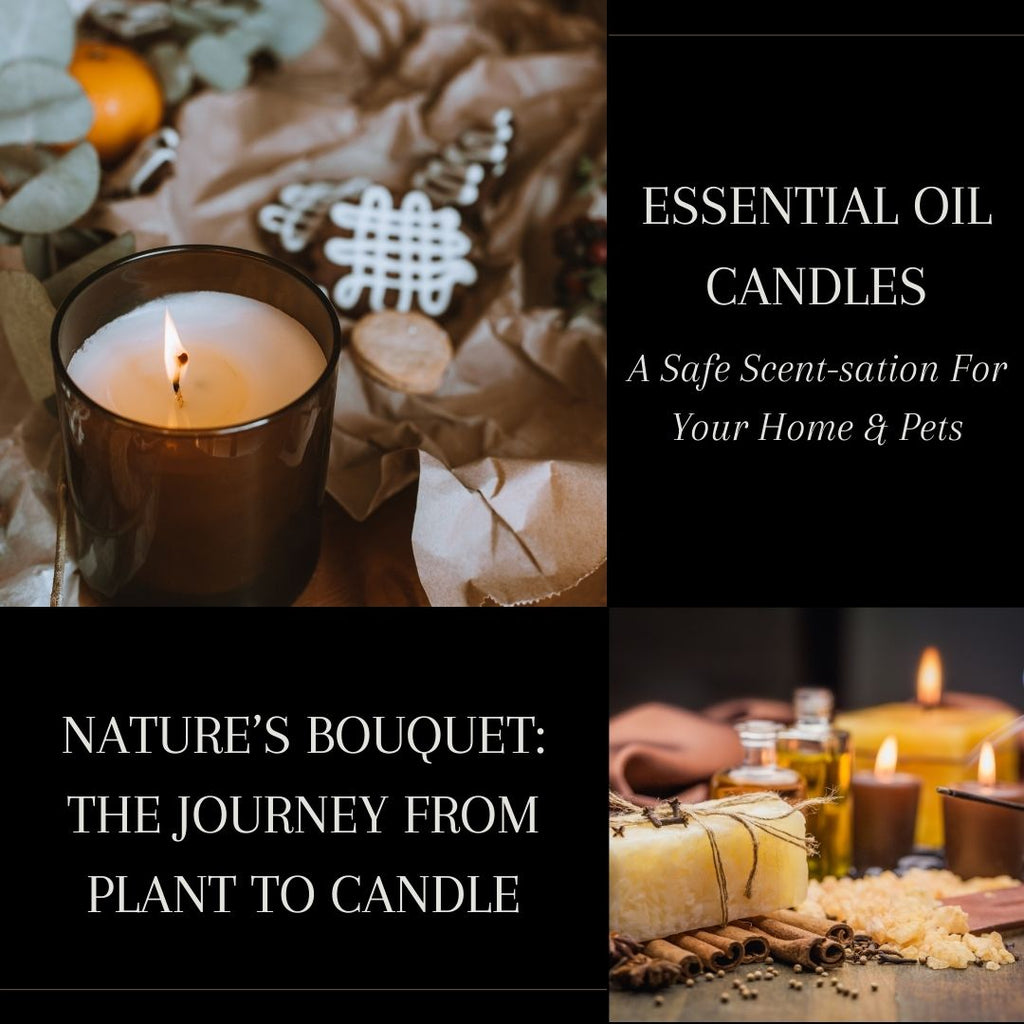 Essential Oil Candles: A Safe Scent-sation For Your Home?