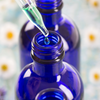 Gingerbread Essential OIl Blend