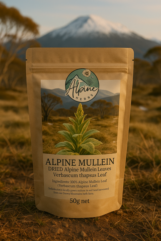Alpine Mullein