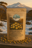 Alpine Chamomile