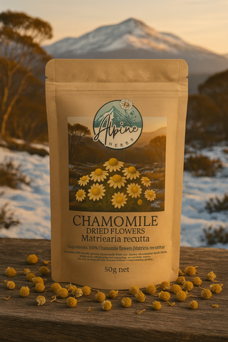 Alpine Chamomile